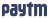 paytm icone
